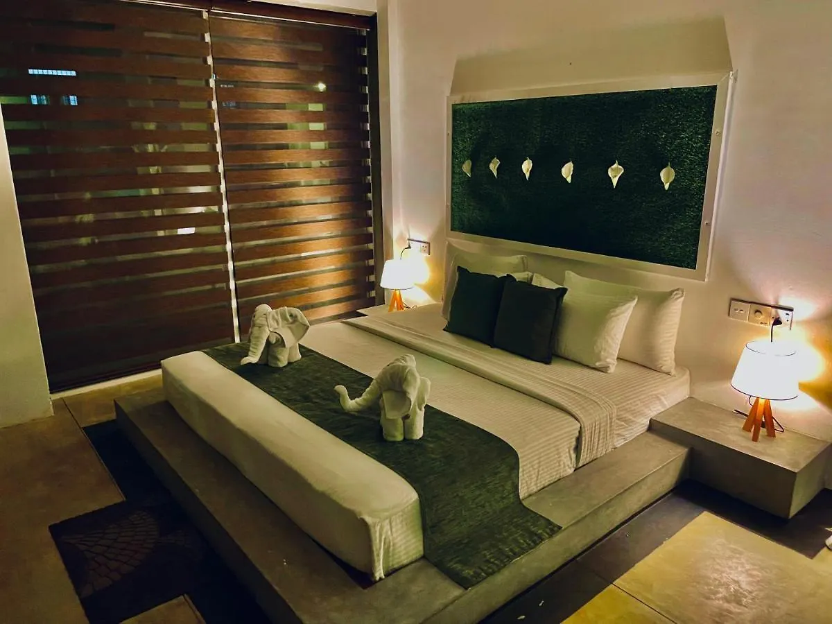 Ξενοδοχείο 8 Plus Motels Νεγκόμπο