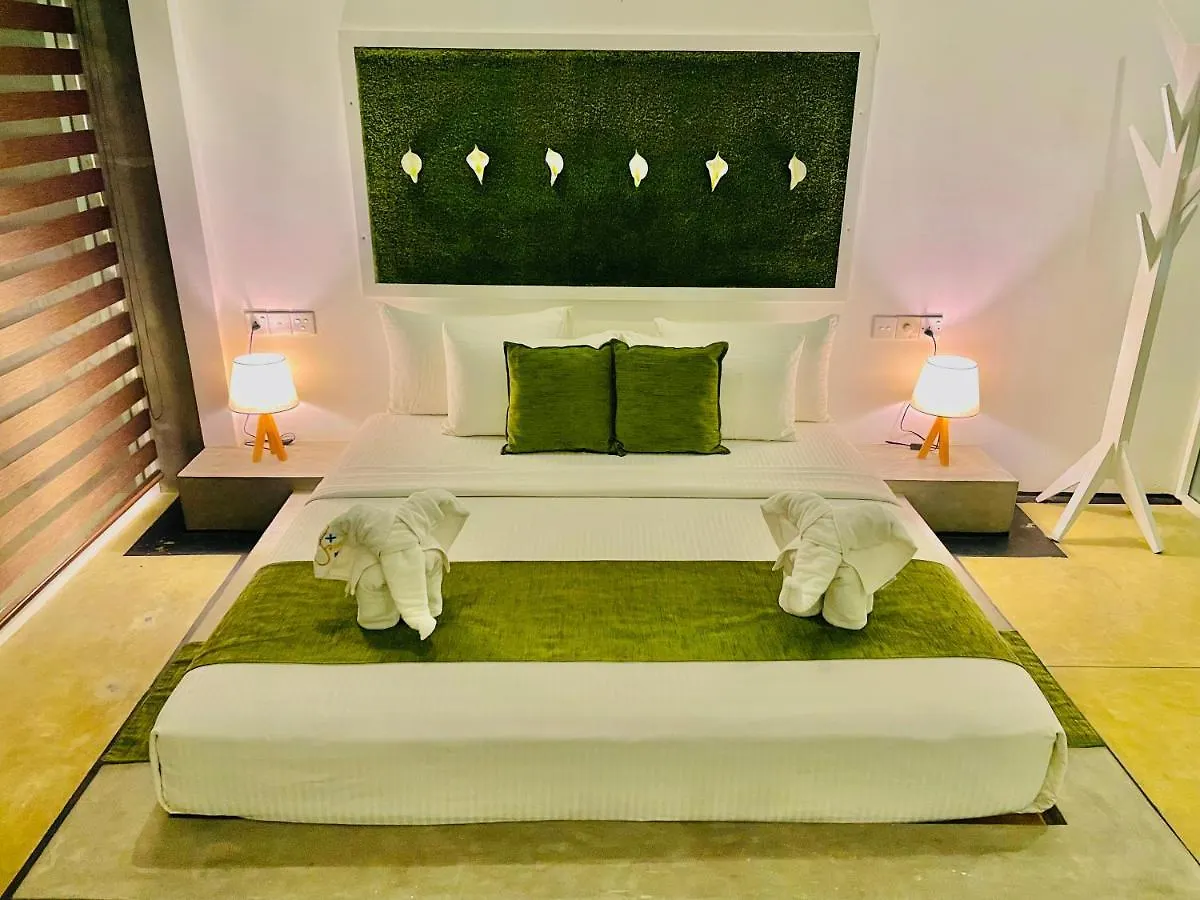 Hotel 8 Plus Motels Negombo Sri Lanka